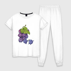 Женская пижама хлопок с принтом Виноградинки в Курске, 100% хлопок | брюки и футболка прямого кроя, без карманов, на брюках мягкая резинка на поясе и по низу штанин | арт | веточка винограда | виноград | виноградинки | мило | милота | рисунок | свежая ягода | свежие ягоды | свежий продукт | синий виноград | ягода | ягоды