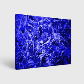 Холст прямоугольный с принтом Dark Blue Gan в Курске, 100% ПВХ |  | Тематика изображения на принте: abstraction | blue | frost | frozen | ice | shine | surface | texture | абстракция | блеск | замерзший | лед | мороз | поверхность | синий | текстура