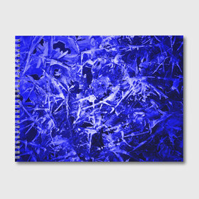 Альбом для рисования с принтом Dark Blue Gan в Курске, 100% бумага
 | матовая бумага, плотность 200 мг. | abstraction | blue | frost | frozen | ice | shine | surface | texture | абстракция | блеск | замерзший | лед | мороз | поверхность | синий | текстура