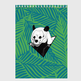 Скетчбук с принтом Панда нежить в Курске, 100% бумага
 | 48 листов, плотность листов — 100 г/м2, плотность картонной обложки — 250 г/м2. Листы скреплены сверху удобной пружинной спиралью | Тематика изображения на принте: бамбук | зверь | листья | медведь | треугольник | череп