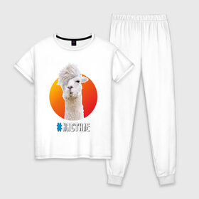 Женская пижама хлопок с принтом Лама в Курске, 100% хлопок | брюки и футболка прямого кроя, без карманов, на брюках мягкая резинка на поясе и по низу штанин | alpaca | lama | альпака | арт | животное | животные | картинка | лама | милота | рисунок