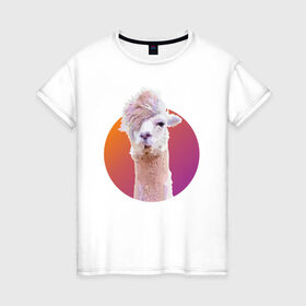 Женская футболка хлопок с принтом Лама_2 в Курске, 100% хлопок | прямой крой, круглый вырез горловины, длина до линии бедер, слегка спущенное плечо | alpaca | lama | альпака | арт | животные | картинка | лама | милое животное | рисунок