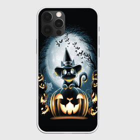 Чехол для iPhone 12 Pro Max с принтом Хэллоуин Кот в Курске, Силикон |  | Тематика изображения на принте: 2020 | cat | cats | halloween | джек | киса | кисуля | кот | котик | коты | кошечка | ленивец | мяу | октябрь | панда | призрак | призраки | собака | тыква | хеллоуин | хелоуин | хэллоуин | хэлоуин | черный кот | щеночек