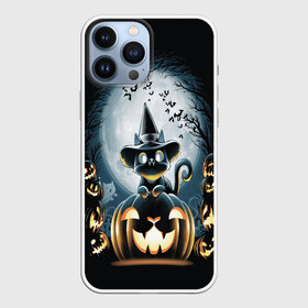 Чехол для iPhone 13 Pro Max с принтом Хэллоуин Кот в Курске,  |  | 2020 | cat | cats | halloween | джек | киса | кисуля | кот | котик | коты | кошечка | ленивец | мяу | октябрь | панда | призрак | призраки | собака | тыква | хеллоуин | хелоуин | хэллоуин | хэлоуин | черный кот | щеночек