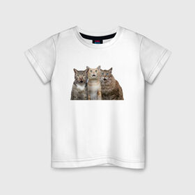 Детская футболка хлопок с принтом удивленные коты в Курске, 100% хлопок | круглый вырез горловины, полуприлегающий силуэт, длина до линии бедер | котики | надписи | прикол | удивление | черный кот
