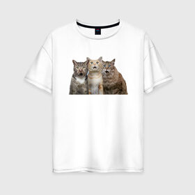 Женская футболка хлопок Oversize с принтом удивленные коты в Курске, 100% хлопок | свободный крой, круглый ворот, спущенный рукав, длина до линии бедер
 | котики | надписи | прикол | удивление | черный кот