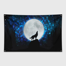 Флаг-баннер с принтом Волк воющий на луну в Курске, 100% полиэстер | размер 67 х 109 см, плотность ткани — 95 г/м2; по краям флага есть четыре люверса для крепления | wolf | волк | волки | волчица | животные | одинокий волк
