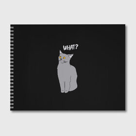 Альбом для рисования с принтом What cat в Курске, 100% бумага
 | матовая бумага, плотность 200 мг. | cat | kitten | kitty | what кот | британская кошка | британский кот | в смысле | взгляд | вопрос | вопросительный знак | глаза кота | животные | кот мем | котенок | котик | котята | кошак | кошка | мемы