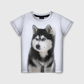 Детская футболка 3D с принтом ХАСКИ в Курске, 100% гипоаллергенный полиэфир | прямой крой, круглый вырез горловины, длина до линии бедер, чуть спущенное плечо, ткань немного тянется | dog | husky | милый | пес | песик | собака | собачка | хаски | щенок