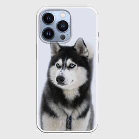 Чехол для iPhone 13 Pro с принтом ХАСКИ в Курске,  |  | Тематика изображения на принте: dog | husky | милый | пес | песик | собака | собачка | хаски | щенок