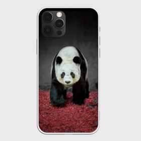 Чехол для iPhone 12 Pro Max с принтом ПАНДА в Курске, Силикон |  | panda | большая | в зоопарке | забавная | медведь | милая | панда | пандочка