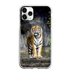Чехол для iPhone 11 Pro Max матовый с принтом ТИГР В ЛЕСУ в Курске, Силикон |  | Тематика изображения на принте: tiger | амурский | бенгальский | в зоопарке | в лесу | дикий | кошка | крупная | полосатый | тигр | тигренок | тигрица