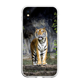 Чехол для iPhone XS Max матовый с принтом ТИГР В ЛЕСУ в Курске, Силикон | Область печати: задняя сторона чехла, без боковых панелей | Тематика изображения на принте: tiger | амурский | бенгальский | в зоопарке | в лесу | дикий | кошка | крупная | полосатый | тигр | тигренок | тигрица