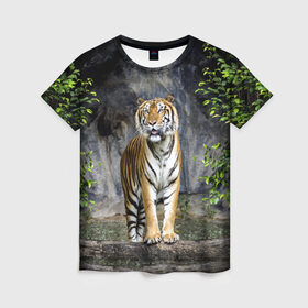 Женская футболка 3D с принтом ТИГР В ЛЕСУ в Курске, 100% полиэфир ( синтетическое хлопкоподобное полотно) | прямой крой, круглый вырез горловины, длина до линии бедер | Тематика изображения на принте: tiger | амурский | бенгальский | в зоопарке | в лесу | дикий | кошка | крупная | полосатый | тигр | тигренок | тигрица