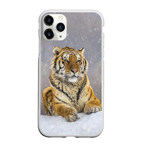 Чехол для iPhone 11 Pro Max матовый с принтом ТИГР ЗИМОЙ в Курске, Силикон |  | Тематика изображения на принте: tiger | амурский | бенгальский | дикий | зима | зимой | кошка | крупная | полосатый | тигр | тигренок | тигрица