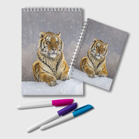 Блокнот с принтом ТИГР ЗИМОЙ в Курске, 100% бумага | 48 листов, плотность листов — 60 г/м2, плотность картонной обложки — 250 г/м2. Листы скреплены удобной пружинной спиралью. Цвет линий — светло-серый
 | tiger | амурский | бенгальский | дикий | зима | зимой | кошка | крупная | полосатый | тигр | тигренок | тигрица