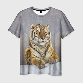 Мужская футболка 3D с принтом ТИГР ЗИМОЙ в Курске, 100% полиэфир | прямой крой, круглый вырез горловины, длина до линии бедер | Тематика изображения на принте: tiger | амурский | бенгальский | дикий | зима | зимой | кошка | крупная | полосатый | тигр | тигренок | тигрица