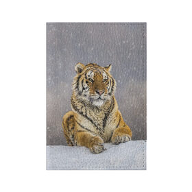 Обложка для паспорта матовая кожа с принтом ТИГР ЗИМОЙ в Курске, натуральная матовая кожа | размер 19,3 х 13,7 см; прозрачные пластиковые крепления | Тематика изображения на принте: tiger | амурский | бенгальский | дикий | зима | зимой | кошка | крупная | полосатый | тигр | тигренок | тигрица