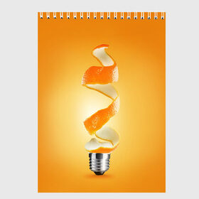 Скетчбук с принтом АПЕЛЬСИН-ЛАМПОЧКА в Курске, 100% бумага
 | 48 листов, плотность листов — 100 г/м2, плотность картонной обложки — 250 г/м2. Листы скреплены сверху удобной пружинной спиралью | апельсин | лампочка | новый год | оранжевый цвет | позитив