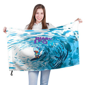 Флаг 3D с принтом Brawl STARS (surfing) в Курске, 100% полиэстер | плотность ткани — 95 г/м2, размер — 67 х 109 см. Принт наносится с одной стороны | brawl | break dance | leon | moba | stars | supercell | surfing | игра | коллаборация | коллаж | паттерн