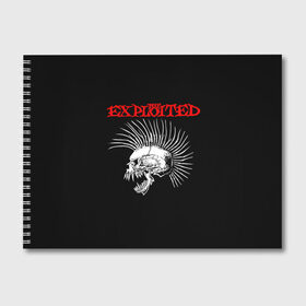 Альбом для рисования с принтом The Exploited в Курске, 100% бумага
 | матовая бумага, плотность 200 мг. | Тематика изображения на принте: exploited | punks | punks not dead | the exploited | панк не сдох | панки | уоти | череп | эксплоитед