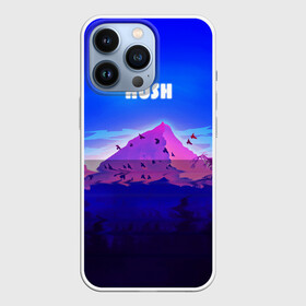 Чехол для iPhone 13 Pro с принтом HUSH в Курске,  |  | Тематика изображения на принте: голубое небо | горы | долина | закат | нарисованные горы | облака | природа | птицы | рассвет | тропики