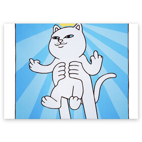 Поздравительная открытка с принтом кот-мем в Курске, 100% бумага | плотность бумаги 280 г/м2, матовая, на обратной стороне линовка и место для марки
 | Тематика изображения на принте: animal | cat | mem | дикая кошка | домашнее животное | животные | кот | кот мем | кошка | прикол | смешной кот | четвероногое | шутка
