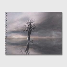 Альбом для рисования с принтом Черное древо и белый лис в Курске, 100% бумага
 | матовая бумага, плотность 200 мг. | balck | fox | reflection | sky | storm | thunder | tree | white | белый | дерево | древо | лис | небо | отражение | шторм