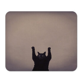 Коврик для мышки прямоугольный с принтом Кот сдается в Курске, натуральный каучук | размер 230 х 185 мм; запечатка лицевой стороны | cat | арест | испуг | кот | руки вверх | черный кот