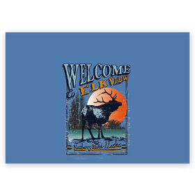 Поздравительная открытка с принтом Аляска в Курске, 100% бумага | плотность бумаги 280 г/м2, матовая, на обратной стороне линовка и место для марки
 | аляска | дикая природа | дикие животные. | звери | олени | природа | рога