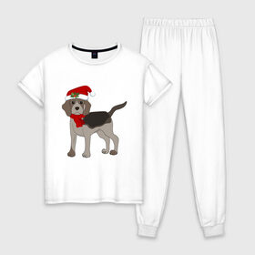 Женская пижама хлопок с принтом Новогодний Бигль в Курске, 100% хлопок | брюки и футболка прямого кроя, без карманов, на брюках мягкая резинка на поясе и по низу штанин | 2021 | бигль | зима | зимняя собака | милый | нарядная собака | новогодний щенок | новый год | подарок | собака | собака в шапке | шарф | щенок | щенок с шарфом
