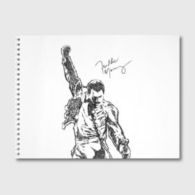 Альбом для рисования с принтом Freddie Mercury в Курске, 100% бумага
 | матовая бумага, плотность 200 мг. | Тематика изображения на принте: freddie mercury | queen | автограф | квин | фредди меркьюри