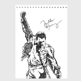 Скетчбук с принтом Freddie Mercury в Курске, 100% бумага
 | 48 листов, плотность листов — 100 г/м2, плотность картонной обложки — 250 г/м2. Листы скреплены сверху удобной пружинной спиралью | Тематика изображения на принте: freddie mercury | queen | автограф | квин | фредди меркьюри