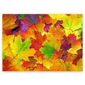 Поздравительная открытка с принтом Осенние листья в Курске, 100% бумага | плотность бумаги 280 г/м2, матовая, на обратной стороне линовка и место для марки
 | клён | краски | листья | осень | радуга | разноцветный | яркая