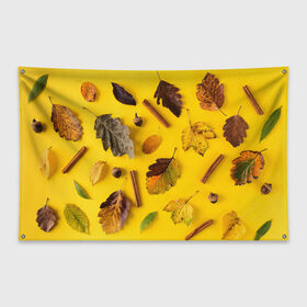 Флаг-баннер с принтом Гербарий в Курске, 100% полиэстер | размер 67 х 109 см, плотность ткани — 95 г/м2; по краям флага есть четыре люверса для крепления | гербарий | жёлтый | листья | осень