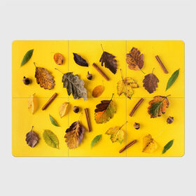 Магнитный плакат 3Х2 с принтом Гербарий в Курске, Полимерный материал с магнитным слоем | 6 деталей размером 9*9 см | гербарий | жёлтый | листья | осень