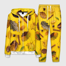 Мужской костюм 3D с принтом Гербарий в Курске, 100% полиэстер | Манжеты и пояс оформлены тканевой резинкой, двухслойный капюшон со шнурком для регулировки, карманы спереди | гербарий | жёлтый | листья | осень