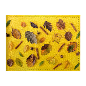 Обложка для студенческого билета с принтом Гербарий в Курске, натуральная кожа | Размер: 11*8 см; Печать на всей внешней стороне | гербарий | жёлтый | листья | осень