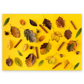 Поздравительная открытка с принтом Гербарий в Курске, 100% бумага | плотность бумаги 280 г/м2, матовая, на обратной стороне линовка и место для марки
 | гербарий | жёлтый | листья | осень