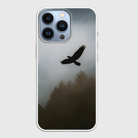 Чехол для iPhone 13 Pro с принтом Орёл над лесом в Курске,  |  | bird | dark | fog | forest | heaven | jh k | ktc | sky | texture | деревья | животные | лес | небо | орел | природа | птица | птицы | текстуры | тёмный лес | туман