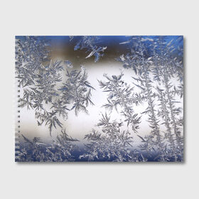 Альбом для рисования с принтом Морозная свежесть в Курске, 100% бумага
 | матовая бумага, плотность 200 мг. | зима | зимний узор | мороз | морозный узор | узор