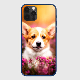 Чехол для iPhone 12 Pro Max с принтом Вельш-корги в Курске, Силикон |  | Тематика изображения на принте: dog | вельш | вельш корги | животные | корги | пес | природа | собака | собаки | собакчка | собачки