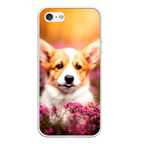 Чехол для iPhone 5/5S матовый с принтом Вельш-корги в Курске, Силикон | Область печати: задняя сторона чехла, без боковых панелей | dog | вельш | вельш корги | животные | корги | пес | природа | собака | собаки | собакчка | собачки