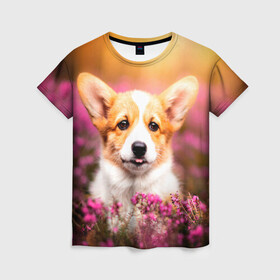 Женская футболка 3D с принтом Вельш-корги в Курске, 100% полиэфир ( синтетическое хлопкоподобное полотно) | прямой крой, круглый вырез горловины, длина до линии бедер | dog | вельш | вельш корги | животные | корги | пес | природа | собака | собаки | собакчка | собачки