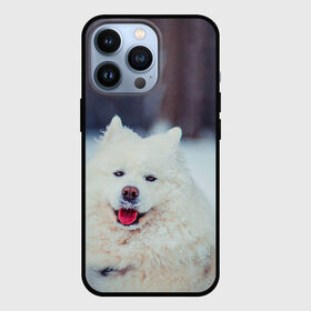 Чехол для iPhone 13 Pro с принтом САМОЕД в Курске,  |  | Тематика изображения на принте: animals | dog | winter | домашние | друг | животные | звери | зима | лайка | пес | песель | природа | пушистый | самоед | собаки | собачка | хаски