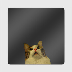 Магнит виниловый Квадрат с принтом Котэ смотрит вверх в Курске, полимерный материал с магнитным слоем | размер 9*9 см, закругленные углы | Тематика изображения на принте: cat | up | вверх | кот | подглядывание | удивление