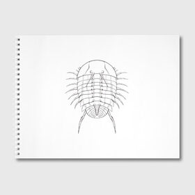 Альбом для рисования с принтом трилобит агрессивный в Курске, 100% бумага
 | матовая бумага, плотность 200 мг. | Тематика изображения на принте: агрессия | доисторические животные | жуткие животные | насекомые | палеонтология | трилобиты
