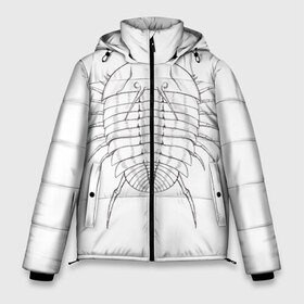 Мужская зимняя куртка 3D с принтом трилобит агрессивный в Курске, верх — 100% полиэстер; подкладка — 100% полиэстер; утеплитель — 100% полиэстер | длина ниже бедра, свободный силуэт Оверсайз. Есть воротник-стойка, отстегивающийся капюшон и ветрозащитная планка. 

Боковые карманы с листочкой на кнопках и внутренний карман на молнии. | агрессия | доисторические животные | жуткие животные | насекомые | палеонтология | трилобиты