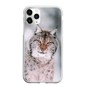 Чехол для iPhone 11 Pro Max матовый с принтом Рысь в Курске, Силикон |  | Тематика изображения на принте: cat | животные | звири | кис | киска | кот | котейка | котик | коты | котяра | кошка | кошки | природа | рысь