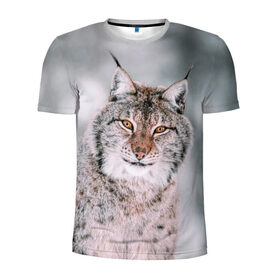 Мужская футболка 3D спортивная с принтом Рысь в Курске, 100% полиэстер с улучшенными характеристиками | приталенный силуэт, круглая горловина, широкие плечи, сужается к линии бедра | cat | животные | звири | кис | киска | кот | котейка | котик | коты | котяра | кошка | кошки | природа | рысь